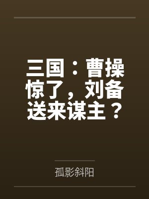 苏泽夏侯惇