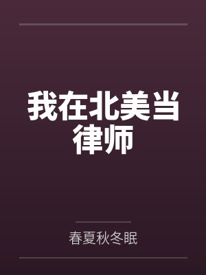 我在北美当律师笔趣阁无弹窗
