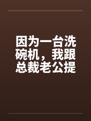 因为一台洗碗机，我跟总裁老公提了离婚